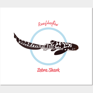 Zebra Shark Posters and Art